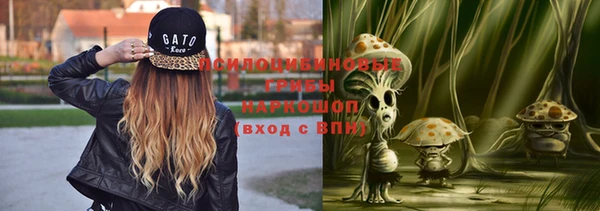PSILOCYBIN Баксан