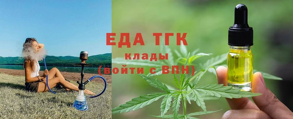 индика Балахна