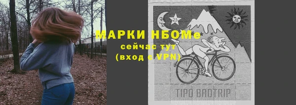 индика Балахна