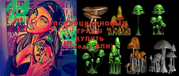 скорость Каменногорск