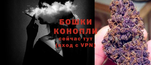 PSILOCYBIN Баксан